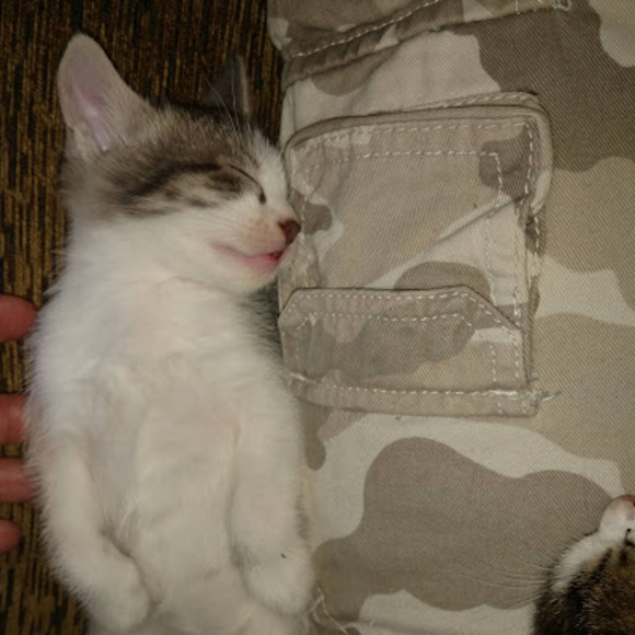 Meet your Posher, Eric - Picture 1 of 1